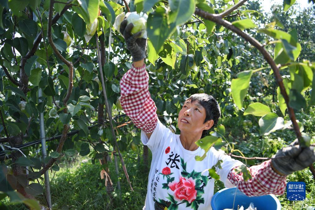882游戏平台