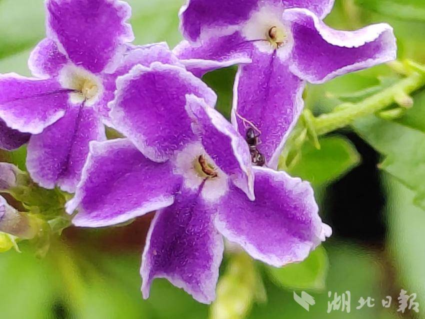 亚洲城登录官网